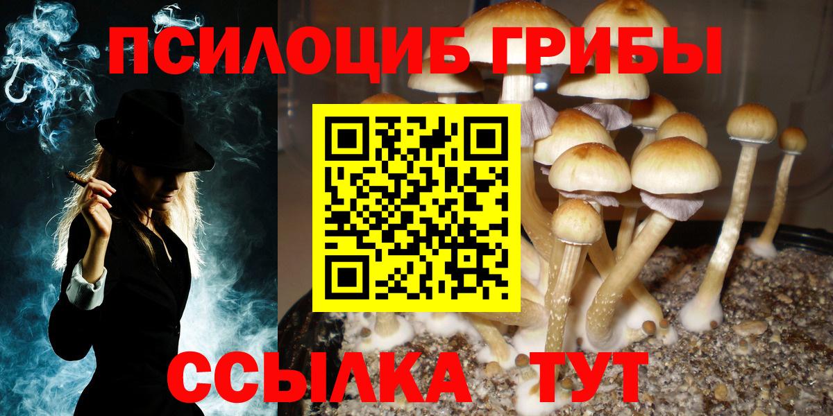 Галлюциногенные грибы GOLDEN TEACHER Сокол